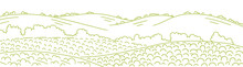 Field Landscape. Growing Vegetables Agricultural Garden Farming. Rural Countryside Landscape. Vector Hand-drawn Sketch Line Drawing.