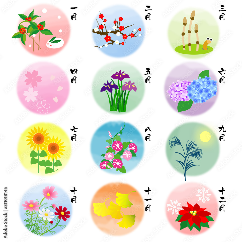 カレンダー素材 四季の花 Wall Mural Wallpaper Murals 良江 石原