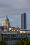 Fototapeta Paryż - paris vue d'en haut