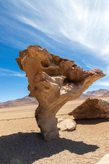 Wall Mural - Carved stone, stone tree on the altiplano in Bolivia.