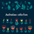 Native australian flowers and leaves, hand drawn decorative elements on dark background
