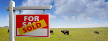 Land For Sale Sold Wooden Placard In The Countryside, Green Field Landscape Background, 3d Illustration