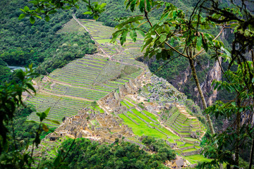 Wall Mural - View of Machu Picchu from Wayna Picchu, Huayna Picchu