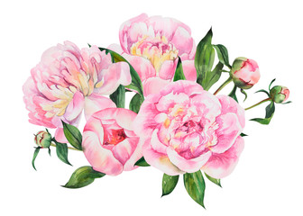 Wall Mural - Beautiful bouquet with peonies, peony flowers on isolated white background, watercolor hand drawing stock illustration.