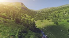 Aerial Drone Flight Above Beautiful Mountain Landscape. Green Canyon With Pine Tree Forest, Meadows And Curve River In Sunset. Nature, Travel, Hiking, Holidays Concept. Carpathian Mountains.