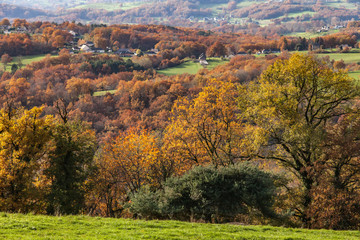 Poster - Donzenac (Corrèze, France) - Vallée de la Vézère en automne