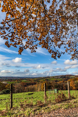 Poster - Donzenac (Corrèze, France) - Vue automnale