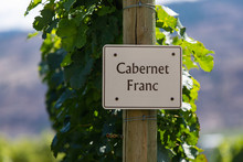 Cabernet Franc Wine Grape Variety Sign On Wooden Pole Selective Focus, Vineyard Varieties Signs, Okanagan Valley Wine Region British Columbia, Canada