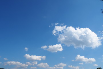the clear sky in the morning of winter