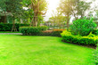 © Arunee - Fresh green grass smooth lawn with curve form of bush, trees on background, good maintenance landscapes in a house's garden under morning sunlight