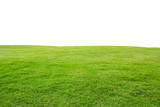 Fototapeta Sypialnia - fresh green grass lawn isolated on white background