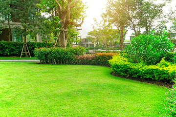 fresh green grass smooth lawn with curve form of bush, trees on background, good maintenance landsca