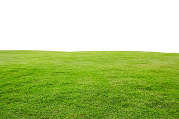 fresh green grass lawn isolated on white background