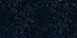 Starry night sky seamless pattern. Magic space print. Stars and constellations on a dark background. Cosmos texture, template for web design, Wallpaper, backdrops, covers, printing.... Vector.