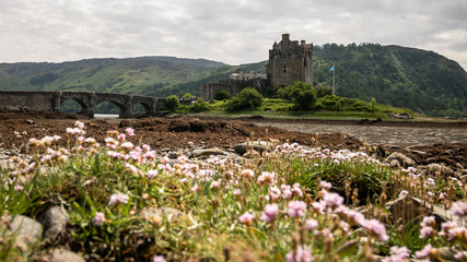 Scottish castle with flowers and a hill.