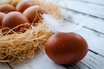 Wall Mural - Brown chicken eggs and feathers in a nest.