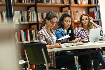 Wall Mural - Group of female students study in the college library.Learning and preparing for exam.Educational concept.	