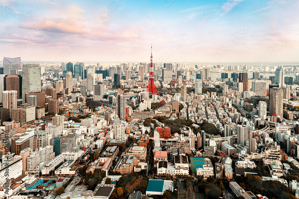 Cityscape of Tokyo central at dawn, Japan - obrazy, fototapety, plakaty 