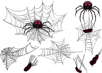 Halloween spider web set.