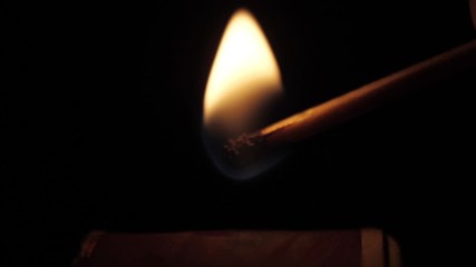 Wall Mural - match burning macro shot slow motion