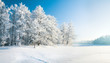 canvas print picture - Panorama of beautiful winter park