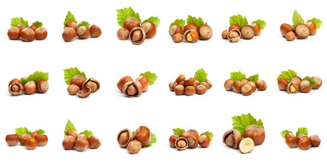 Set of Hazelnut nut many leaves isolated on a white background as a packaging design element