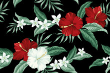 Tropical Hawaiian Vintage Flower Red Hibiscus And White Plumeria Floral Green Palm Leaves Seamless Pattern Black Background. Exotic Jungle Wallpaper.