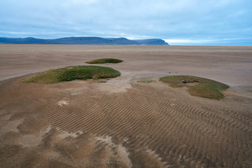 Raudasandur or red sandy beach in the westfjords of Iceland. Vegetation and green spots of grass during low tide on the beach. View towards the mountains and the ocean. Traveling.