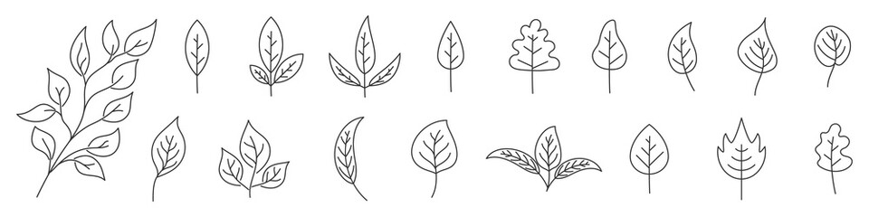 Wall Mural - set of leaves in thin line style. outline leaves