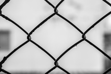 Black and white of  Close up Water droplets on old steel grilles on background blurred