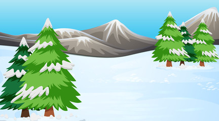 Poster - Background scene with pine trees in the snow