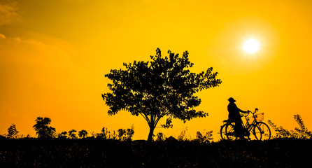 Wall Mural - Beautiful golden sky with silhouettes trees and cyclists at sunset.