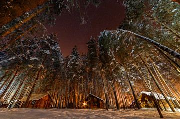 Wall Mural - hutrural, fir, frost, cottage, season, snowy, celebration, pine, snowfall, north, xmas, roof, chalet