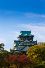 Wall Mural - Osaka castle in japan