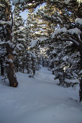 Canvas Print - Snowshoe adventure Boulder County 12/2019