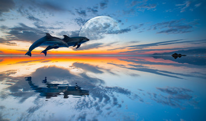 Poster - Two dolphins jumping in the sea at sunset 