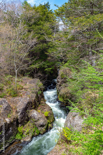 奥日光 竜頭ノ滝 岩肌を縫う清流 Stock Photo Adobe Stock