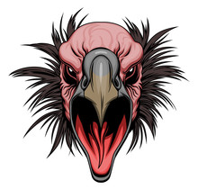 Vulture Head