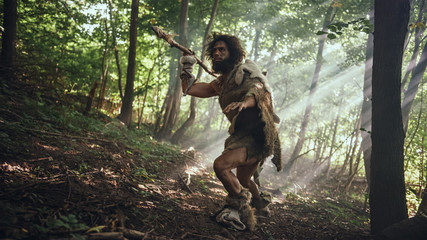 primeval caveman wearing animal skin holds stone tipped spear looks around, explores prehistoric for