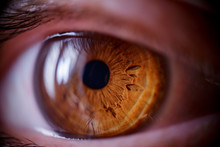 Macro Shot Of The Human Eye. Brown Eyes Near. Soft Focus. The Reflection Of The Window In The Human Eye