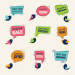 Early bird. Special offers badges discounts labels with birds vector advertising signs collection. Offer label lettering, speech bubble early bird promotion illustration