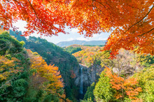 福貴野の滝　紅葉と滝のある風景