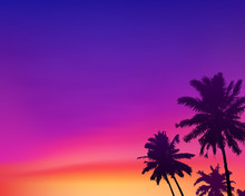Dark Palm Trees Silhouettes On Violet And Pink Colors Sunset Sky Background, Vector Illustration