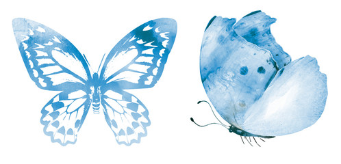 Two watercolor butterflies , isolated on white background