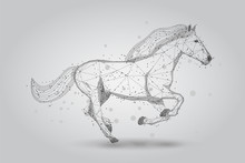Abstract Mash Line And Point Horse Run Gallop Illustration