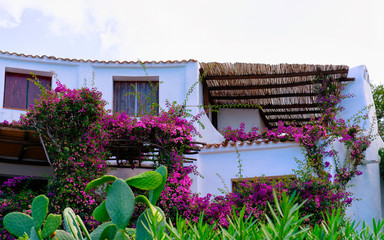 Windows and balconies with flowers in Porto Cervo reflex