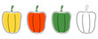 A set of four isolated bell peppers drawn in one line with yellow, orange, green substrates and without it. Vector.