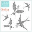 Swallows. Vector collection