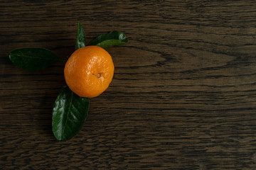 Mandarin on the dark wood