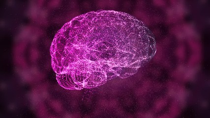 Wall Mural - The universe within an abstrct brain mockup floating in space.